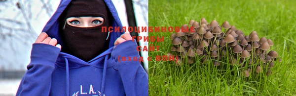 mdma Каменка